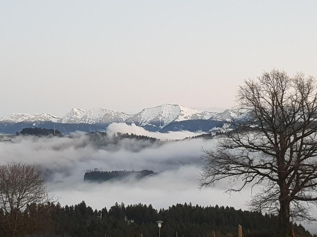 Schoenblick Hotel Garni Ferienwohnungen Линденберг-им-Алльгой Экстерьер фото